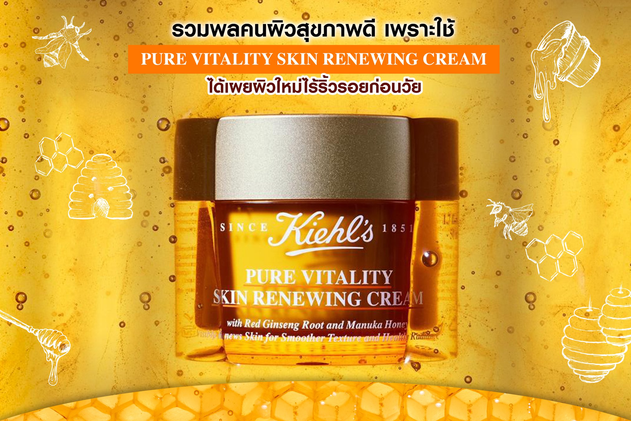 Kiehl's, Kiehl's Pure Vitality Skin Renewing Cream, Kiehl's Pure Vitality Skin Renewing Cream รีวิว, Kiehl's Pure Vitality Skin Renewing Cream ราคา, Kiehl's Pure Vitality Skin Renewing Cream pantip, Kiehl's Pure Vitality Skin Renewing Cream ดีไหม, Pure Vitality Skin Renewing Cream, Kiehl's Pure Vitality Skin Renewing Cream 50ml