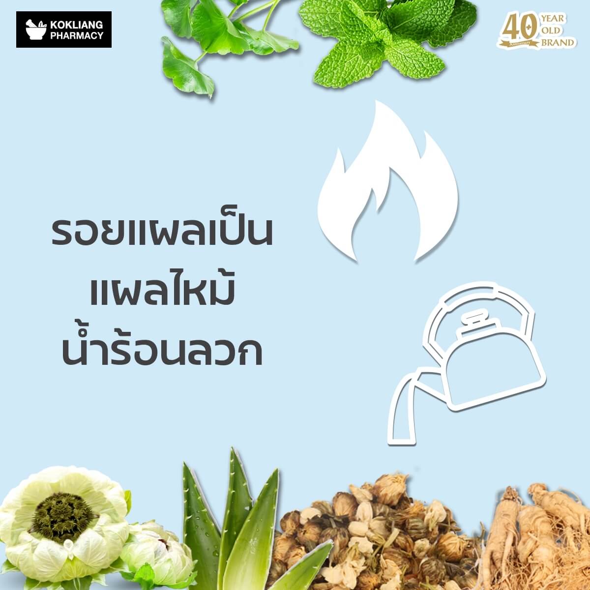 ก๊กเลี้ยง Kokliang ครีมบัวหิมะ 15 g  ในวงการแพทย์จีนรับรอง บัวหิมะ เป็นยอดสมุนไพรไร้คู่เปรียบของจีนมาช้านาน เพราะอุดมไปด้วยน้ำ แร่ธาตุและวิตามิน บอกได้เลยว่าเหมาะสำหรับผิวที่มีปัญหาแบบเร่งด่วน ผิวไหม้จากความร้อนและผดผื่นคัน   พร้อมผสานคุณค่าจากรากโสม พิมเสน ชามะลิ ใบบัวบกและอโลเวร่า ที่มีสรรพคุณลดบวมช้ำและคลายปวดเมื่อยกล้ามเนื้อ กระตุ้นการไหลเวียนของเลือดบริเวณแผลได้ดี เสริมสร้างเซลล์ผิวใหม่ทดแทนผิวเก่า หรือแผลอื่นๆที่จะกลายเป็นรอยแผลเป็น คลายปวดเมื่อยตามกล้ามเนื้อ   หากคุณยังไม่พอใจครีมหลายสิบขนานที่เคยใช้มาแล้ว ให้ครีมบัวหิมะเป็นองครักษ์พิทักษ์ผิวคุณไว้ที่บ้านหรือพกติดตัวก็ไม่เสียหาย